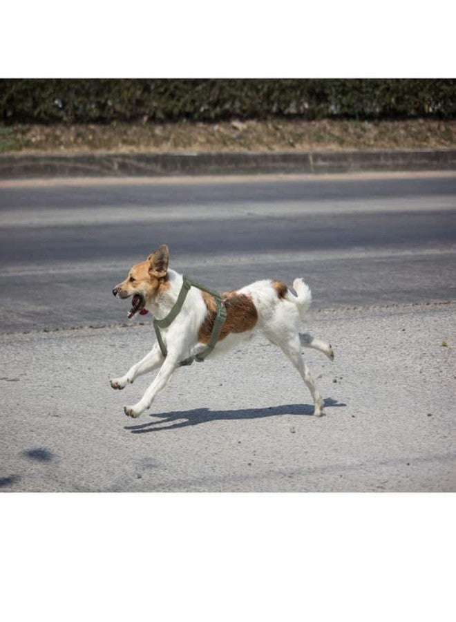 تريكسي حزام تريكسي المميز للرحلات للكلاب مصنوع من حشوة من الصوف، قابل للتعديل، وخفيف الوزن، حلقة D قوية تحافظ على الحزام والمقود في مكانهما (مقاس متوسط، لون الغابة) - Image 3